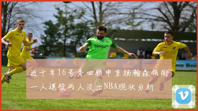 近十年16号秀回顾申京杨瀚森领衔一人退役两人淡出NBA现状分析