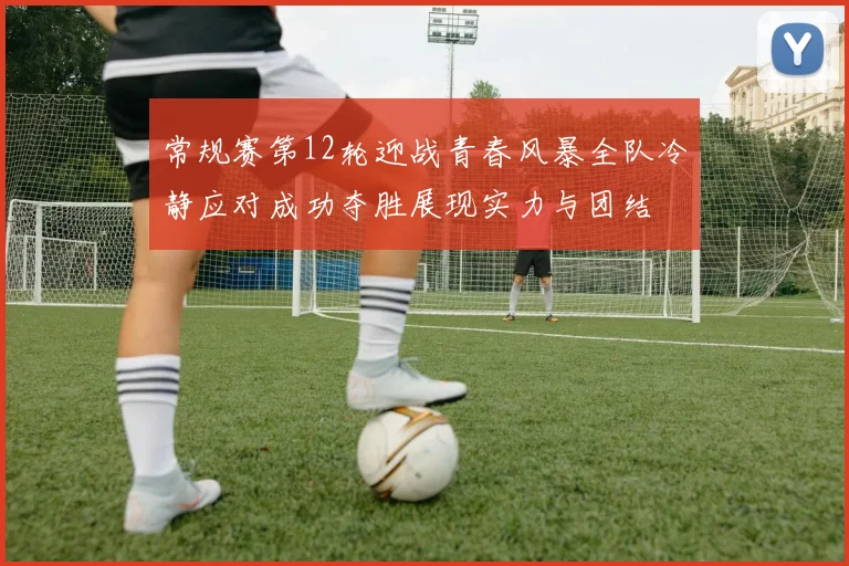 常规赛第12轮迎战青春风暴全队冷静应对成功夺胜展现实力与团结